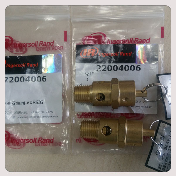 22004006中冷安全阀